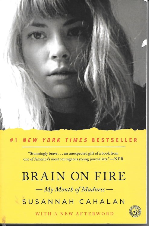Brain On Fire