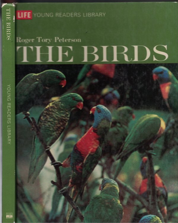 The Birds