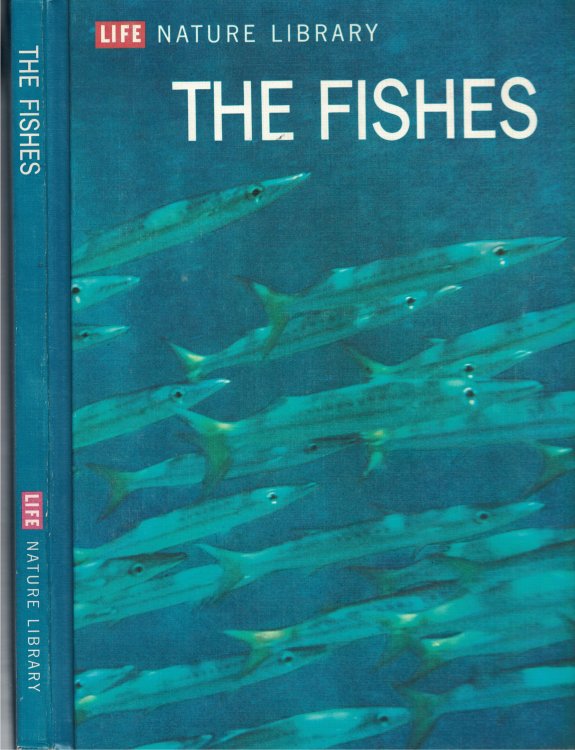 Fishes