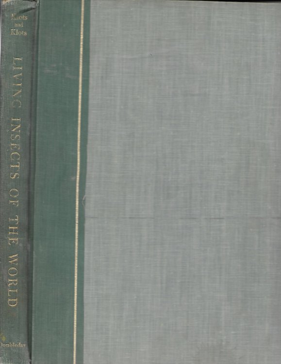 Baseball Legends of all Time