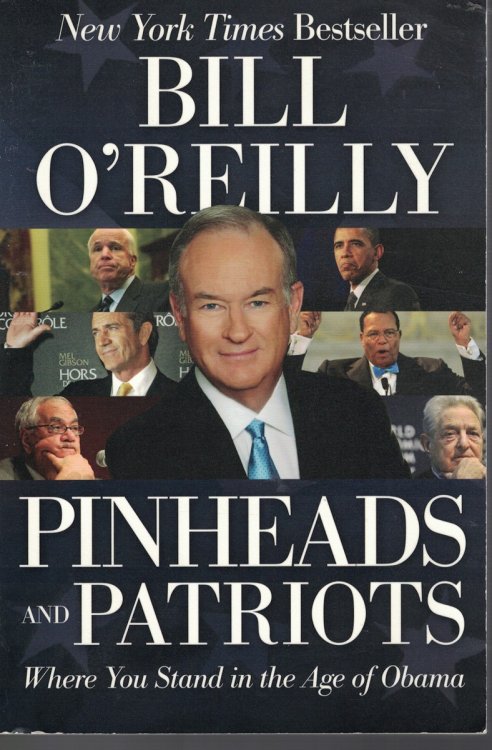 Pinheads And Patriots; Where You Stand in the Age of Obama
