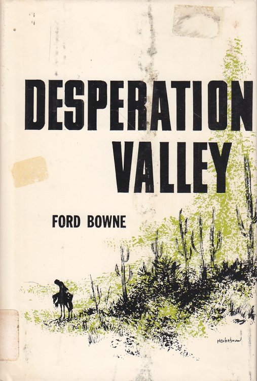 Desperation Valley