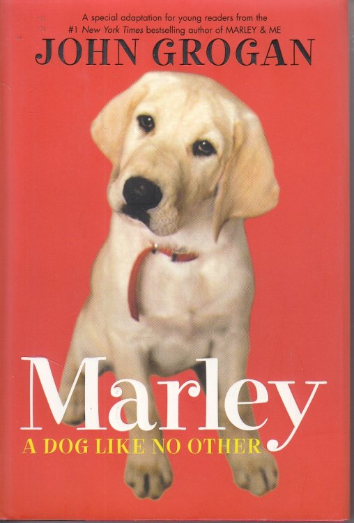 Marley A Dog like No Other