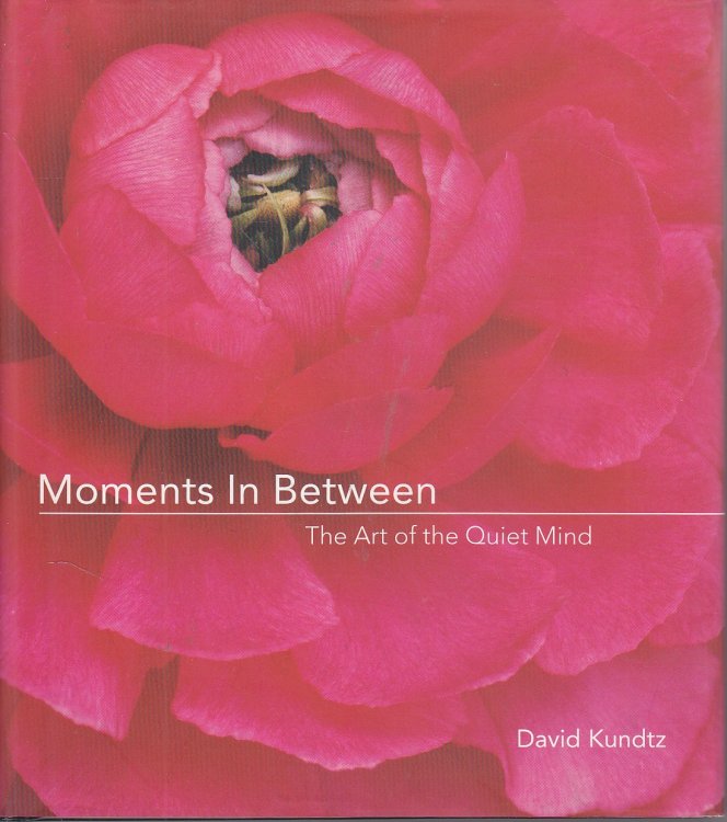 Moments in Between The Art of the Quiet Mind
