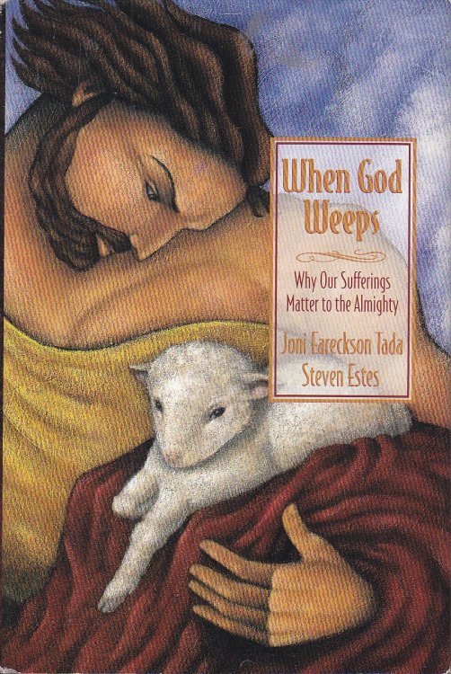 When God Weeps Why Our Sufferings Matter to the Almighty