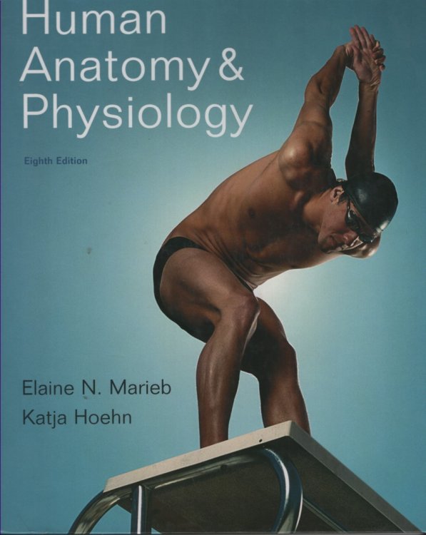 Human Anatomy & Physiology