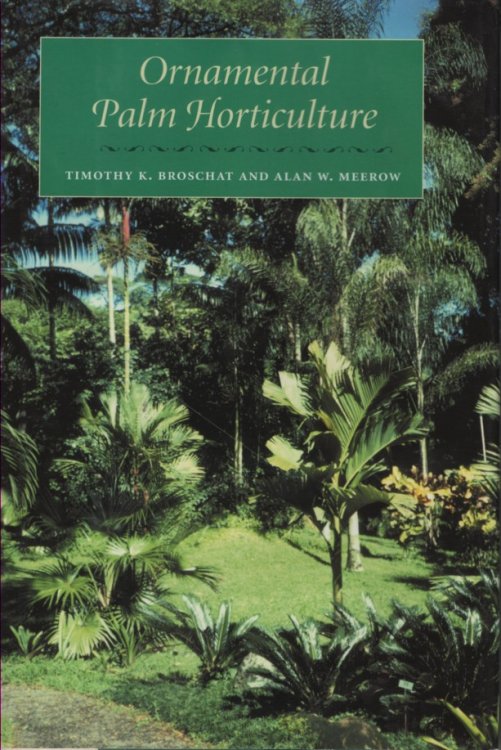 Ornamental Palm Horticulture