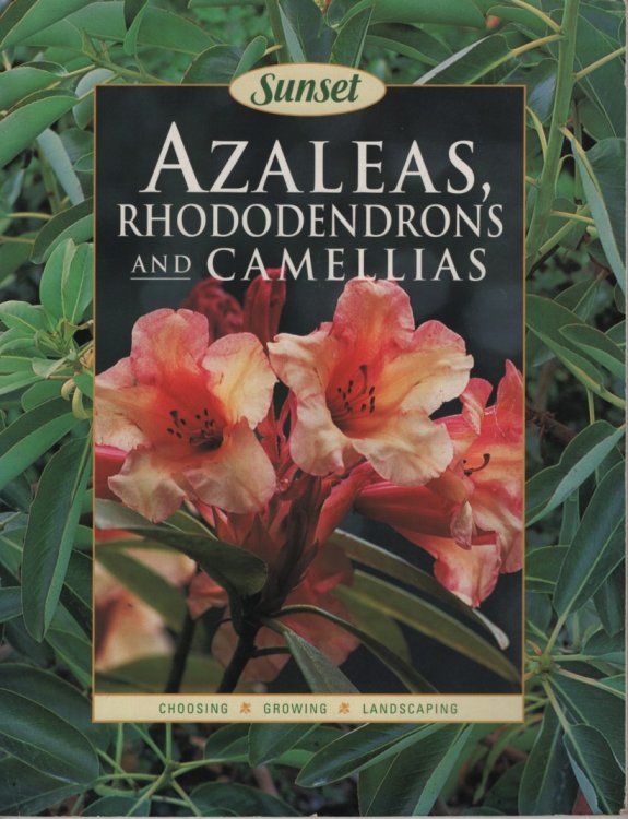 Azaleas, Rhododendrons and Camellias