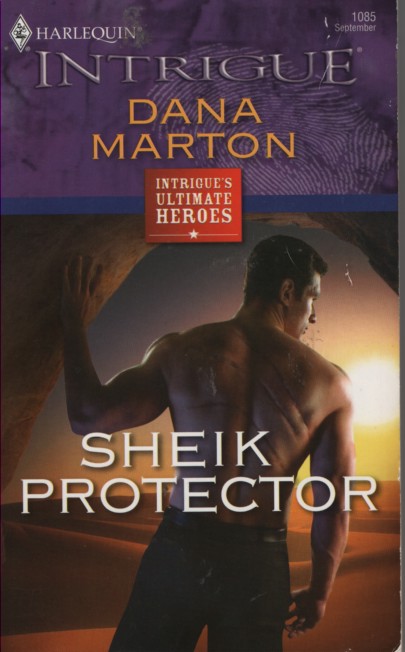 Sheik Protector Intrique's Ultimate Heroes