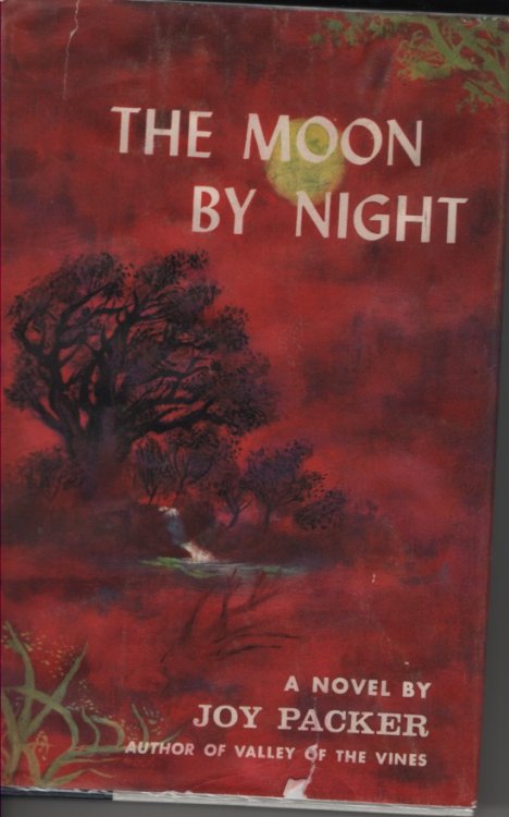 The Moon by Night