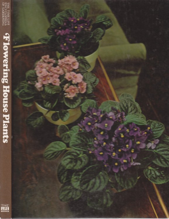 Flowering House Plants