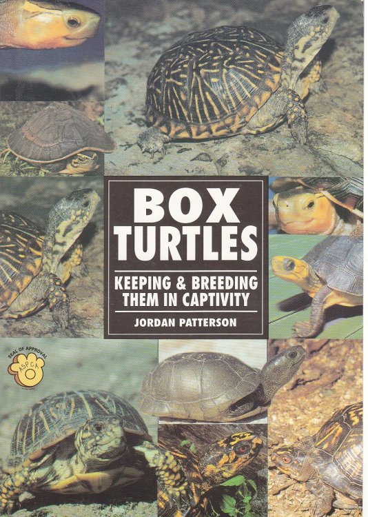 Box Turtle Keeping & Breeding Them in Captivity