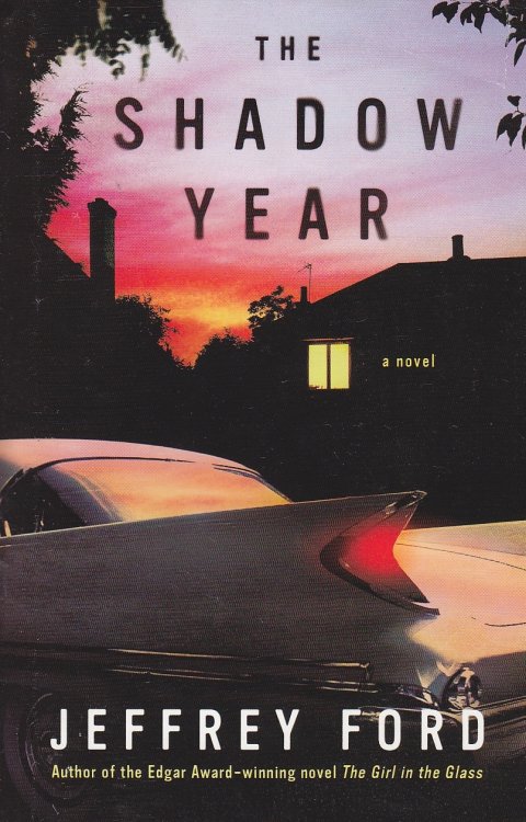 The Shadow Year