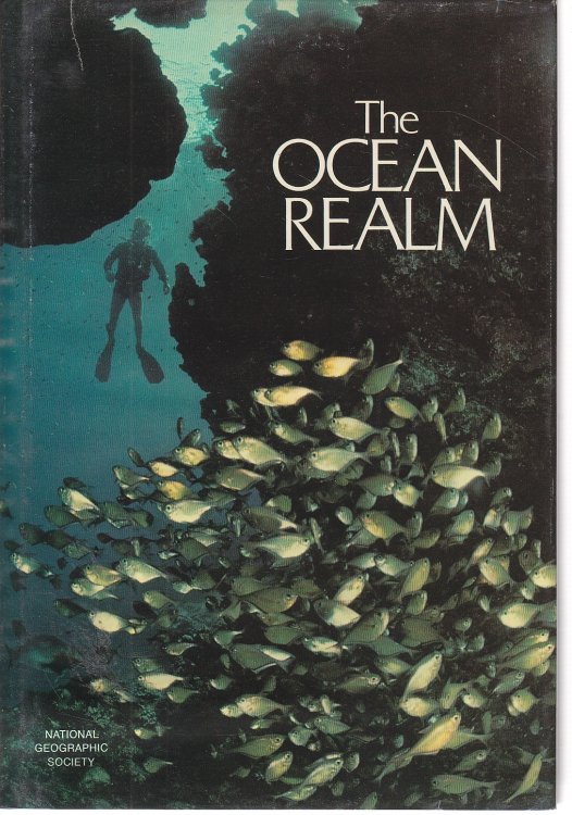 The Ocean Realm