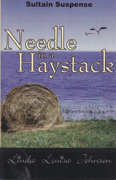 Needle in a Haystack