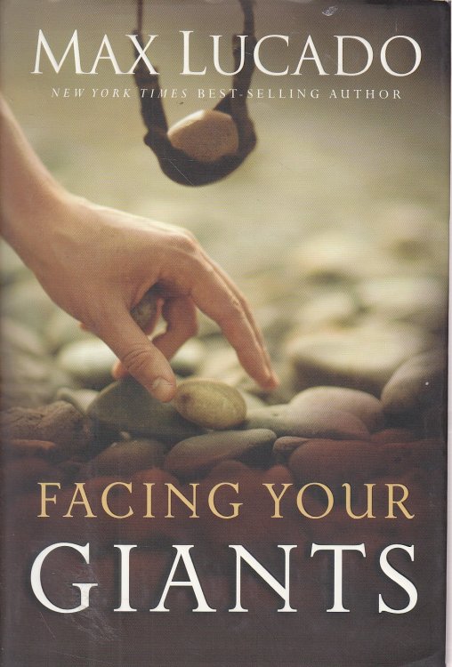 Facing Your Giants A David and Goliath Story for Everyday People