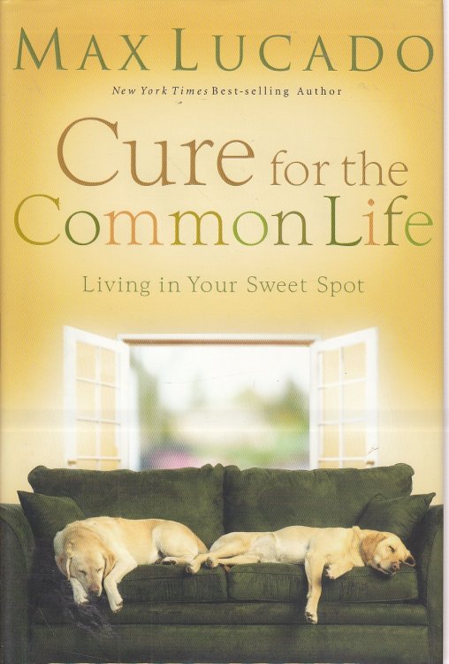 Cure for the Common Life Living in Your Sweet Spot