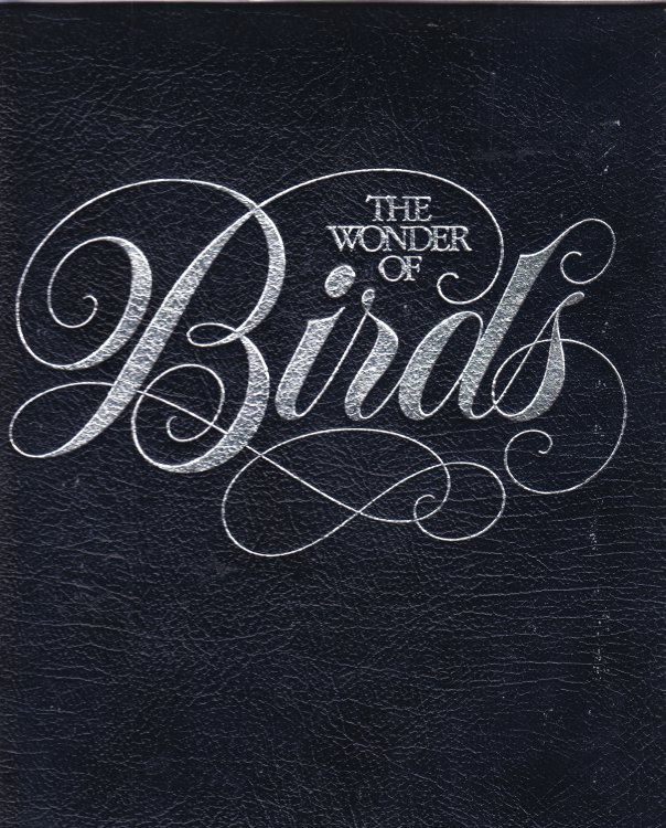 The Wonder of Birds