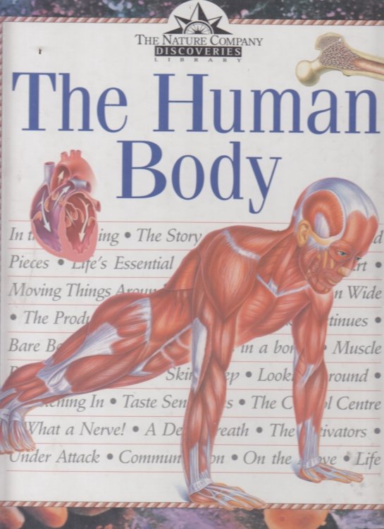 The Human Body