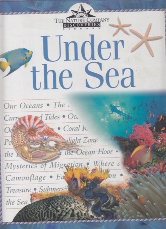 Under the Sea