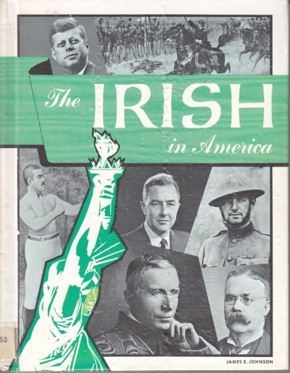The Irish in America
