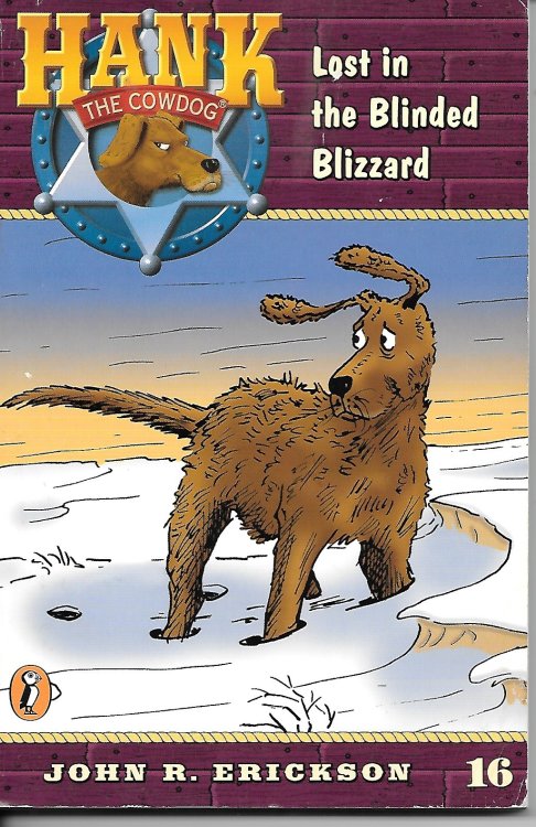 Lost in the Blinded Blizzard