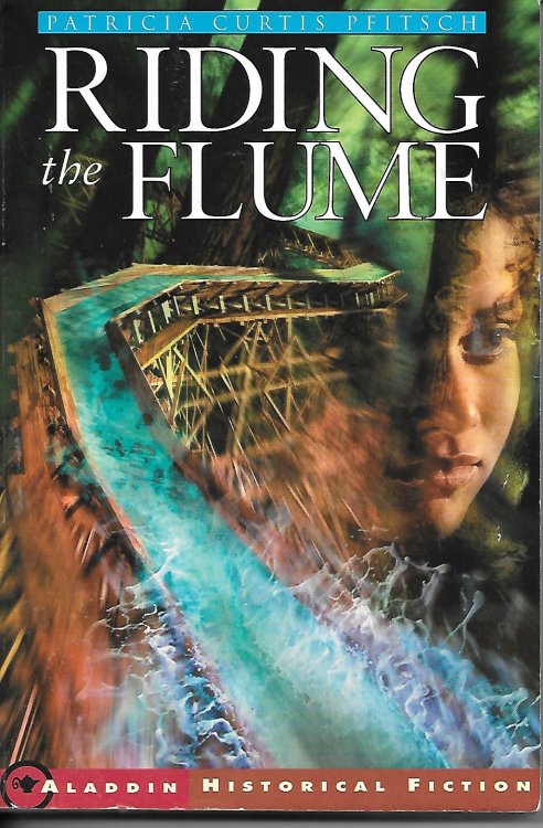 Riding the Flume