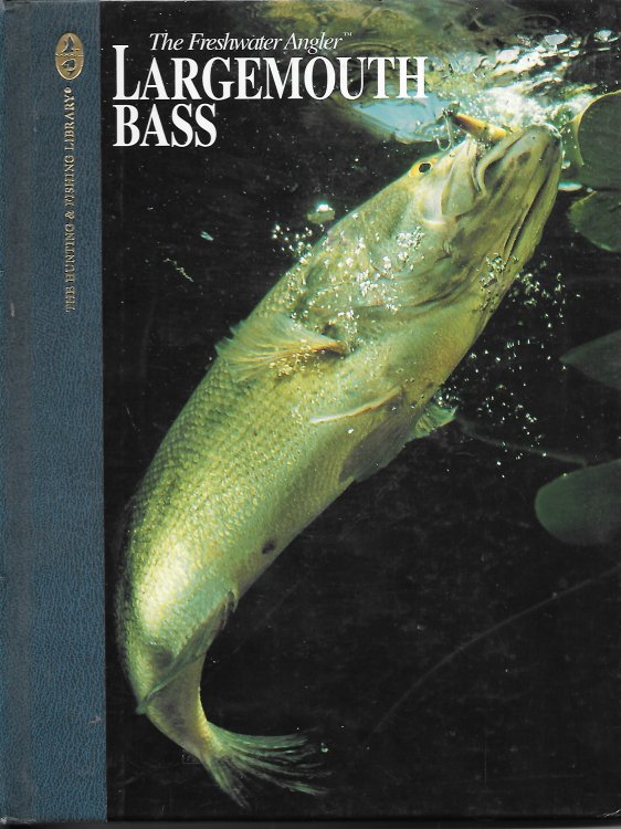 Largemouth Bass