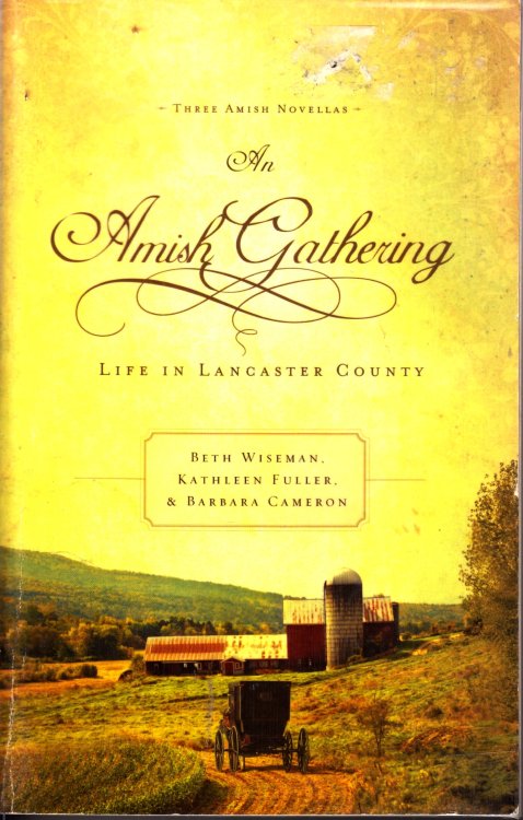 An Amish Gathering A Change of Heart; when Winter Comes; & a Place of His Own