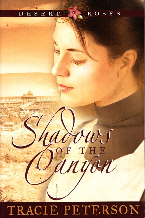 Shadows of the Canyon