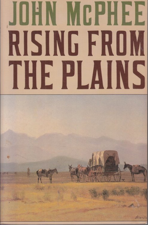 Rising from the Plains