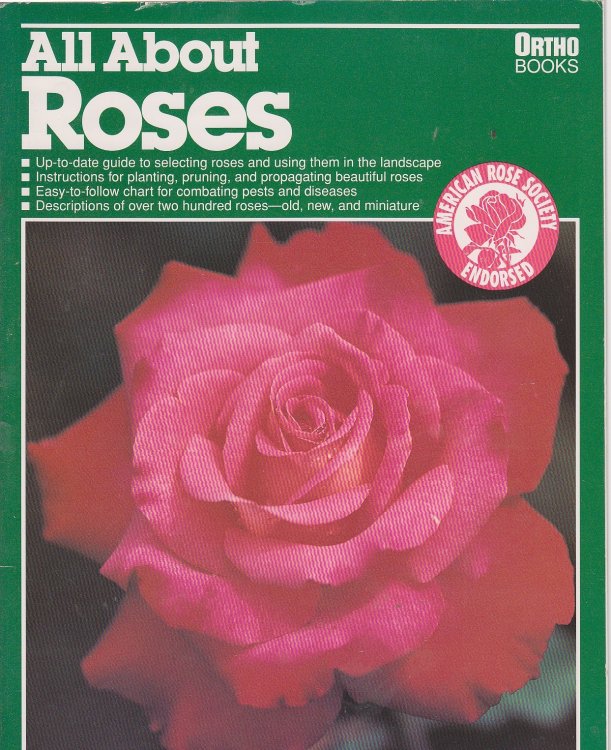 All about Roses