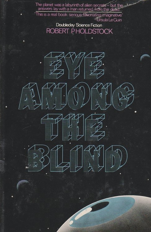 Eye Among the Blind