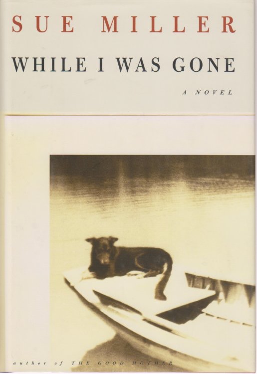 While I Was Gone