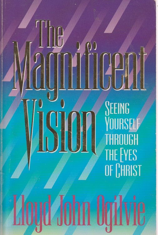 The Magnificent Vision Seeing Yourself through the Eyes of Christ