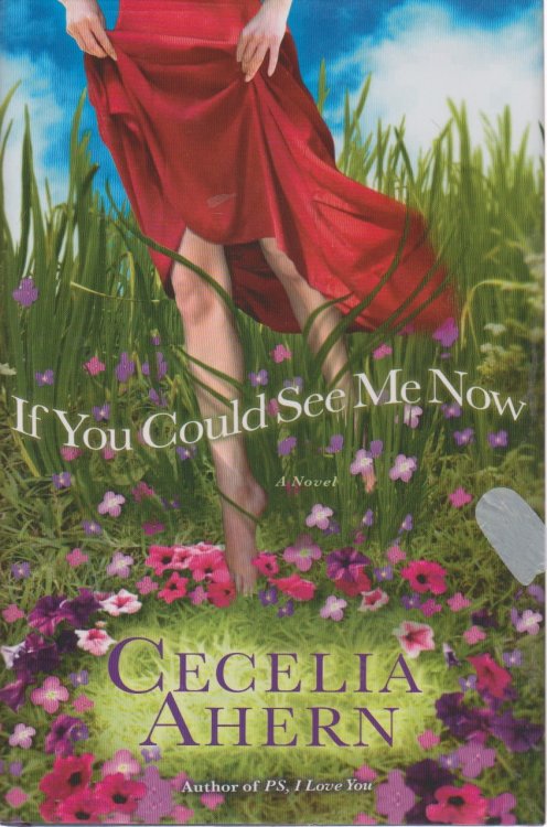 If You Could See Me Now