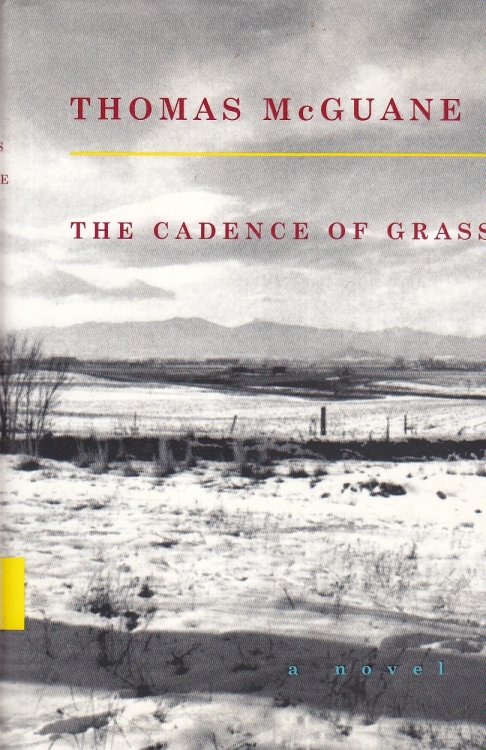 The Cadence of Grass