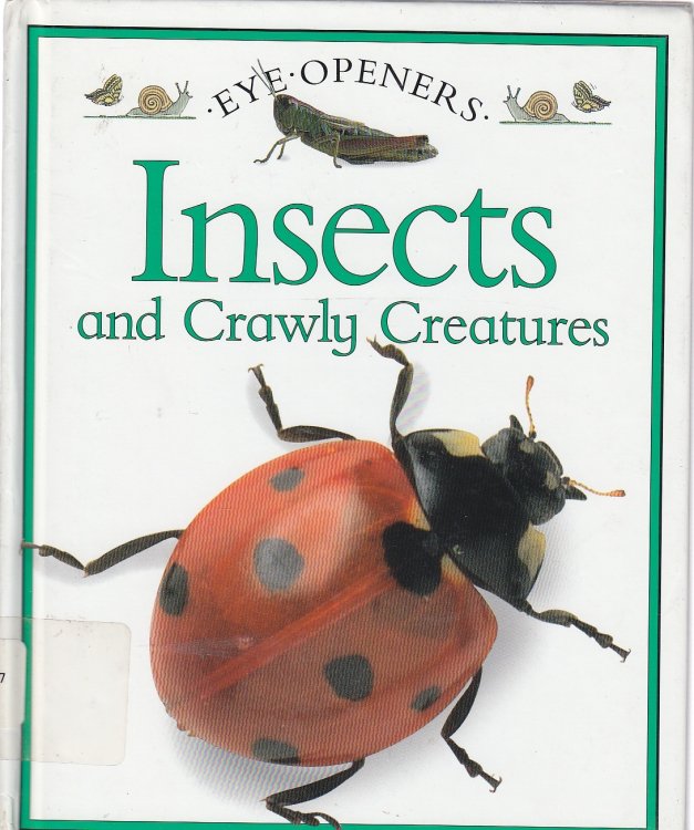 Insects and Crawly Creatures