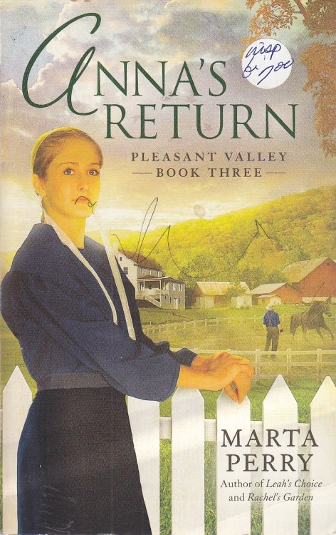 Anna's Return Pleasant Valley Book Three