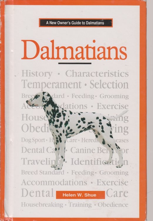 A New Owner's Guide to Dalmatians