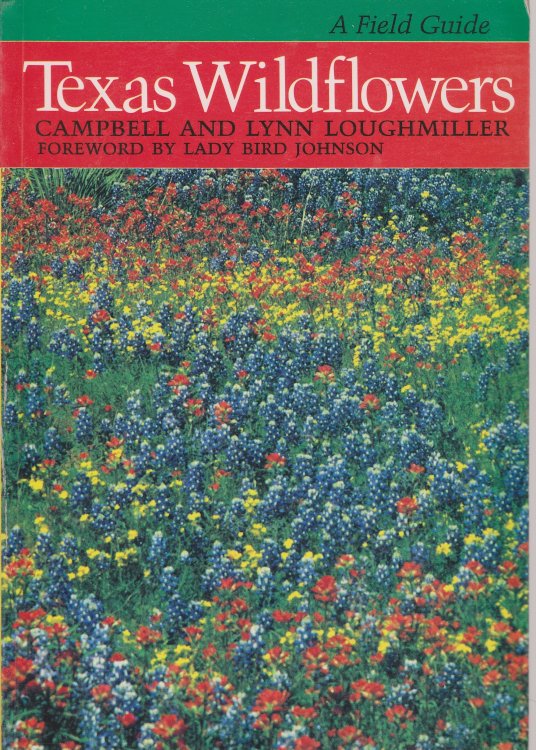 Texas Wildflowers A Field Guide