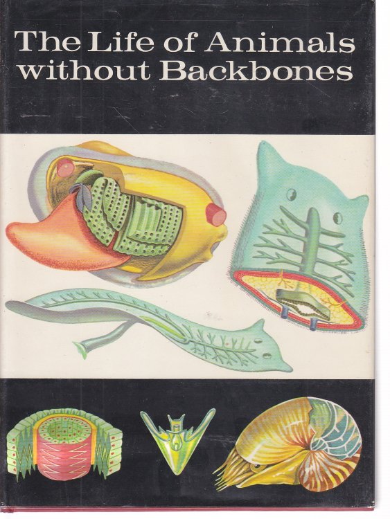 The Life of Animals Without Backbones Foundations of Invertebrate Zoology