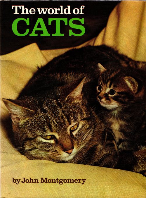 The World of Cats