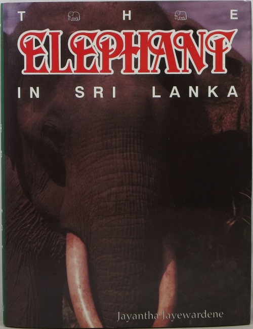The Elephant in Sri Lanka