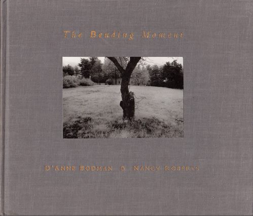 Image for The Bending Moment The Bending Moment