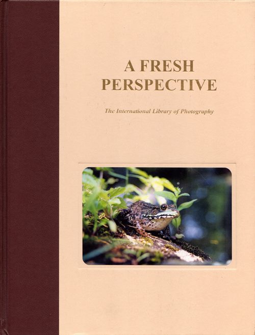 A Fresh Perspective