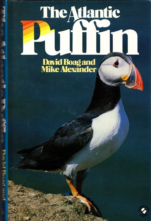 The Atlantic Puffin