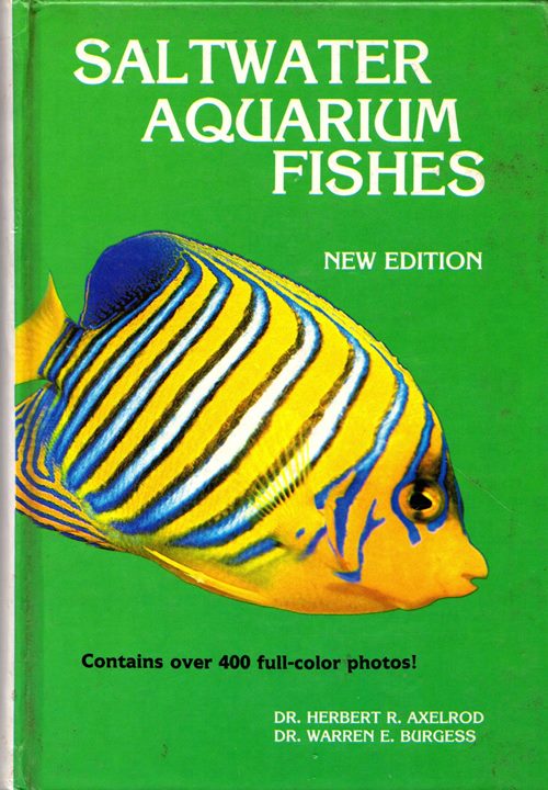 Saltwater Aquarium Fishes