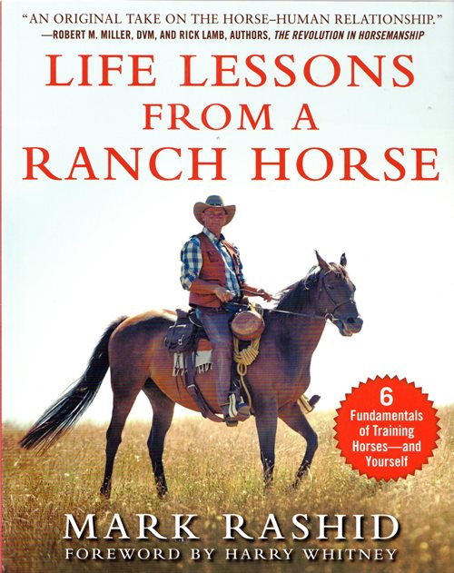 Life Lessons from a Ranch Horse