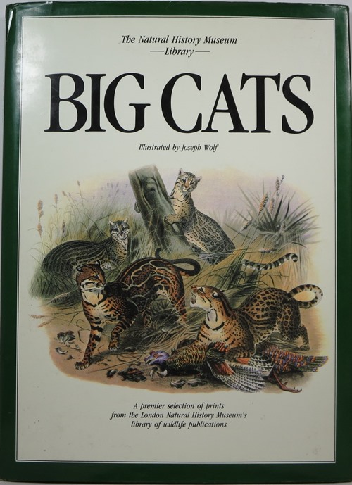 Big Cats